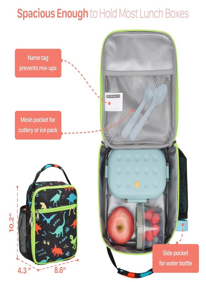 BrainyBees Kids Lunch Bag Boys - Insulated Kids Lunch Box Reusable Boys Lunchbox with Water Bottle Holder Toddler Lunch Tote Bag for School Daycare, Black Dinosaur - Image 2